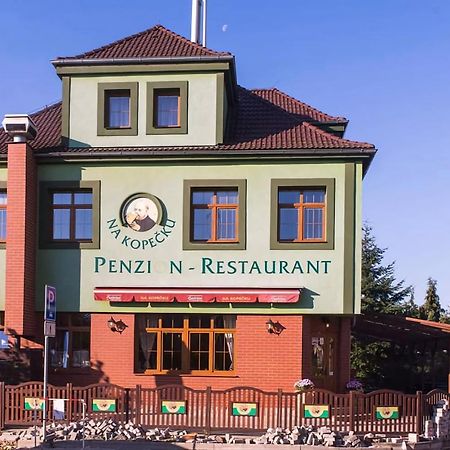 Kopecek - Penzion Ческа-Липа Экстерьер фото